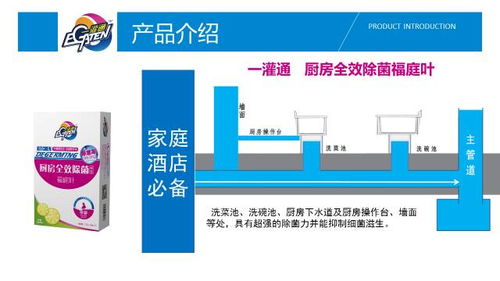功能原理與技術(shù)支持 揭秘一灌通廚衛(wèi)管道深層清潔產(chǎn)品的數(shù)據(jù)處理與存儲(chǔ)服務(wù)